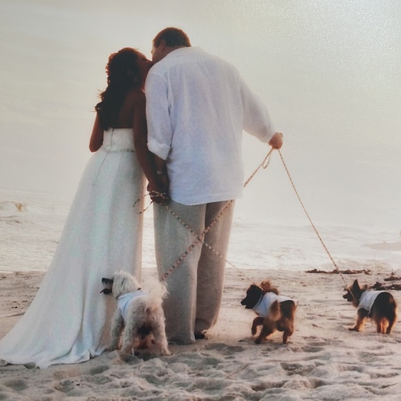 GALINA SIGNATURE From David’s Bridal Wedding Dress - Picture 6 of 16